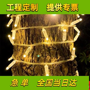 挂树上的彩灯闪灯串灯满天星户外树挂装饰盘树灯led树灯绕树灯带