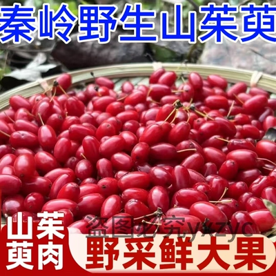 山茱萸鲜果中药材正品山萸肉野生