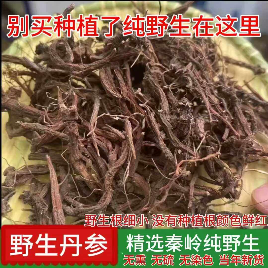 野生丹参紫丹参条根茶丹参片中药材发汗无硫无添加道地药材丹参粉