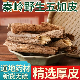 五加皮中药材精品秦岭野生新货散装无硫正宗五加皮根批发泡酒泡茶