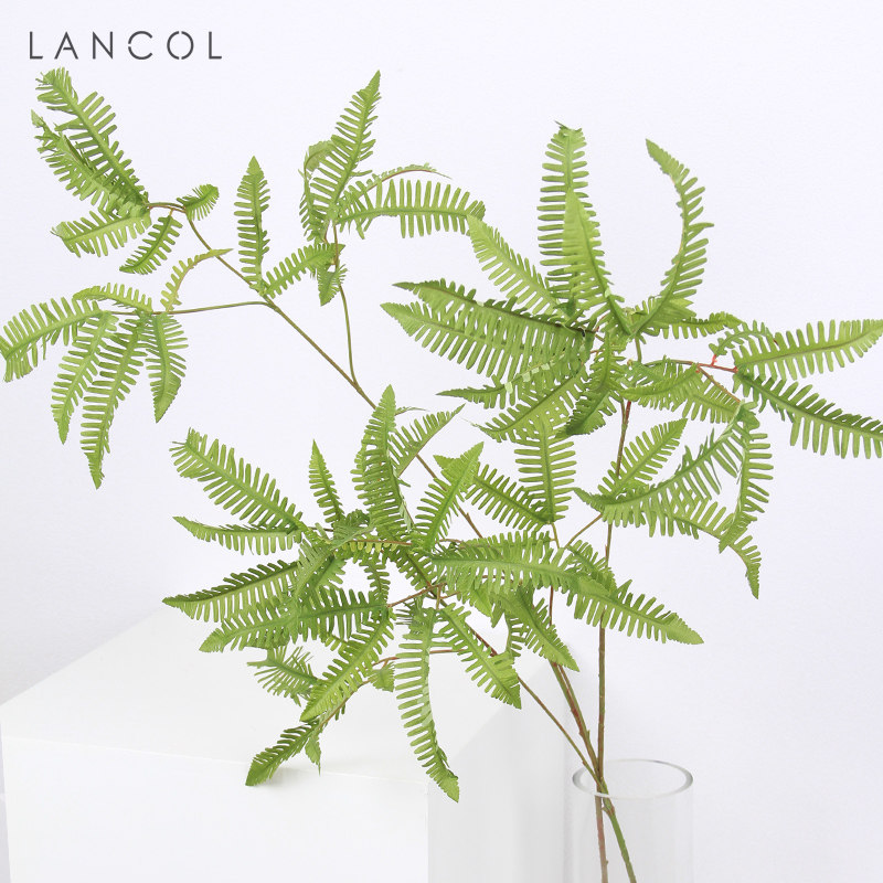 lancol北欧仿真花绿色芒萁叶绿植物软装橱窗装饰插花配叶绢花假花