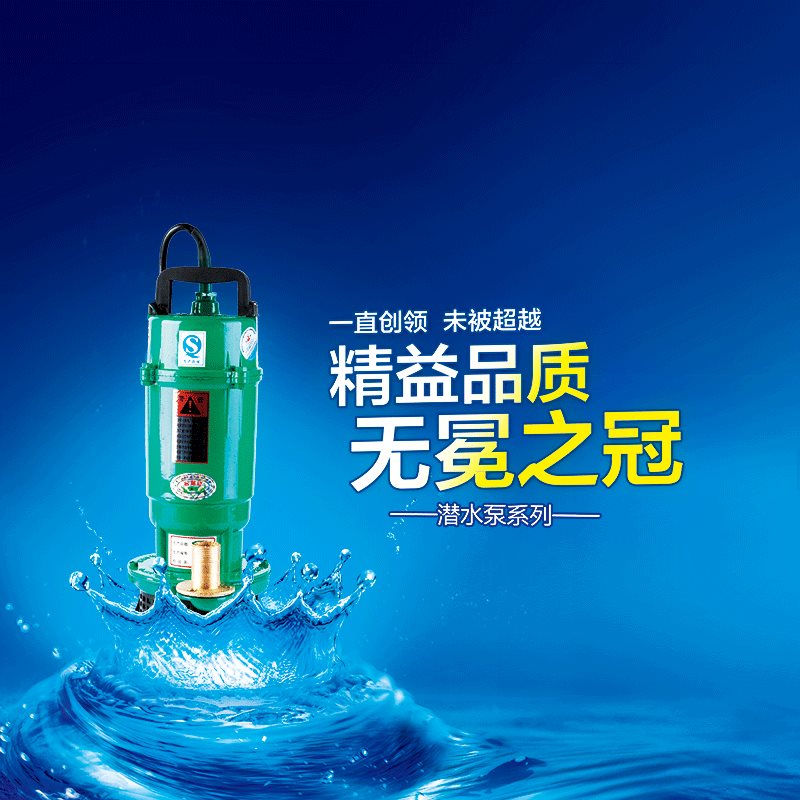 370w750w¼ÒÓÃDZˮ±Ã ³éË®±Ã ³éË®»ú СÐ;®Ë® Å©ÓÃË®±ÃÒ»´ç 220v