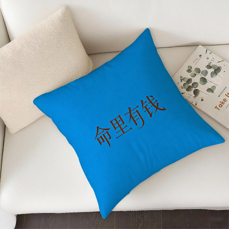 篮底棕字命里有钱抱枕含芯宝宝绒护腰沙发爆款含枕芯靠背方形枕头