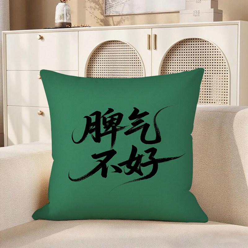 绿底黑字脾气不好抱枕含芯宝宝绒文艺个性小众靠枕护腰卧室方形枕