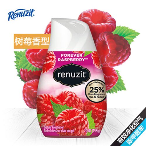 美国Renuzit花蕊风清蕊风98%天然固体空气清新剂车载除臭除甲醛