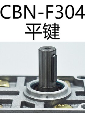 液压高压齿轮泵CBN-F304 F306 F310 F316剪板机拖拉机升降台油泵