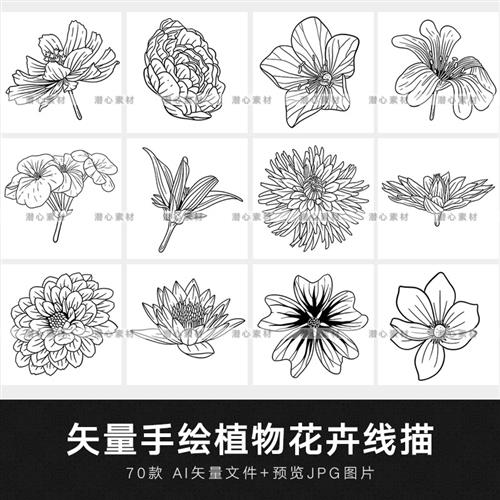 矢量ai手绘黑白植物花卉线描白描装饰插画线稿绘画图案设计素材
