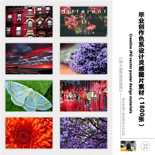 女装企划创作主题灵感源色彩趋势图片素材创意主题灵感设计素材图