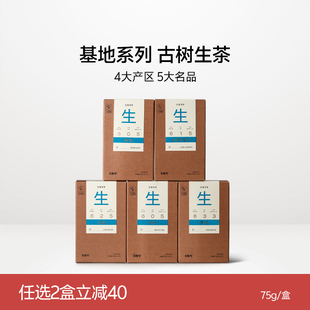 2025年吉普号临沧易武勐海普洱基地系列普洱生茶3g小龙珠盒装