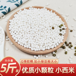 小西米5斤装椰浆西米露水晶粽子奶茶水果捞原料小粒包邮