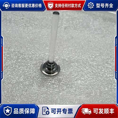 议价赛默飞离子色谱ICS3000/5000柱塞杆可维修
