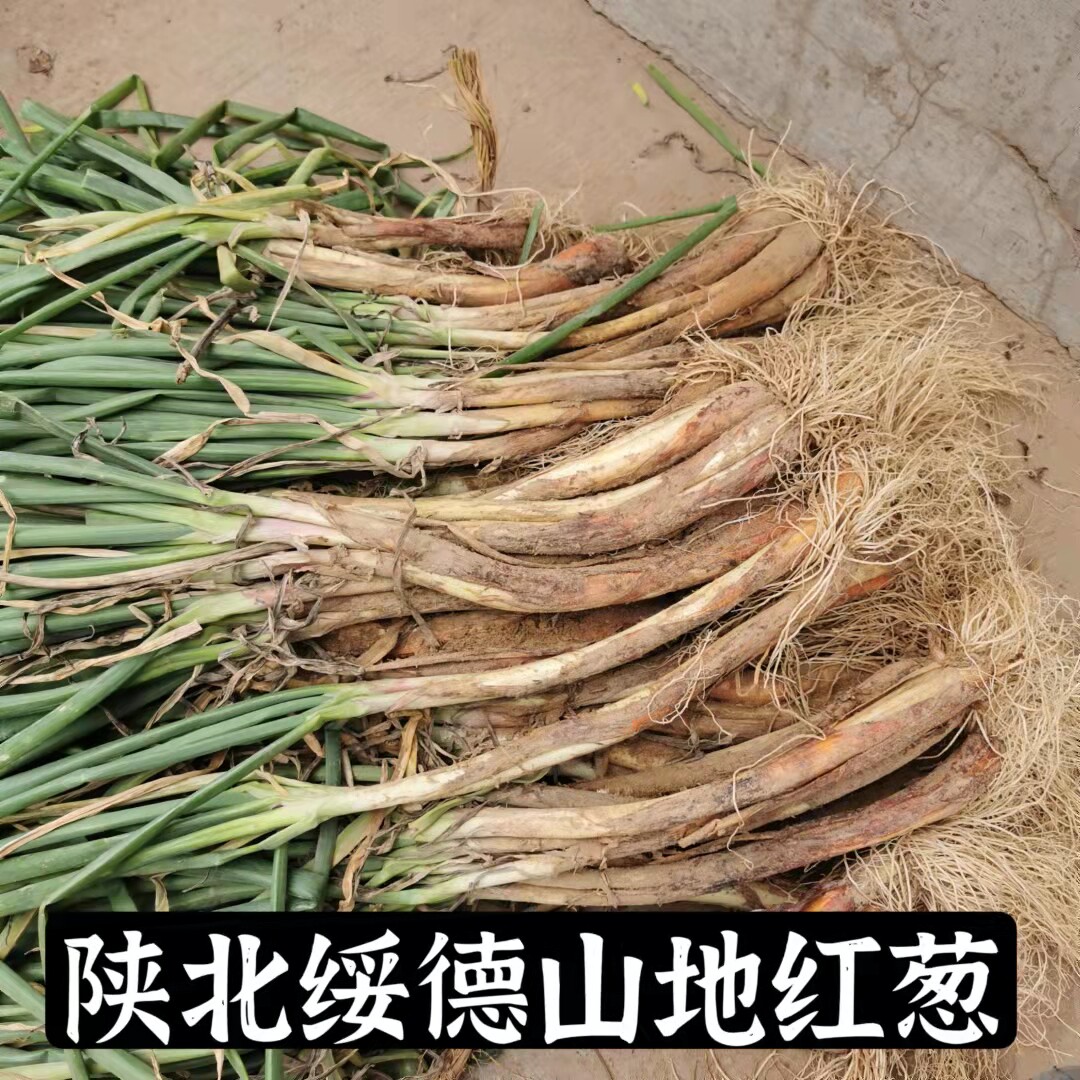 陕北红葱 旱地山地红皮葱 炒菜炖羊肉佐料 新鲜大葱 3斤 5斤 包邮