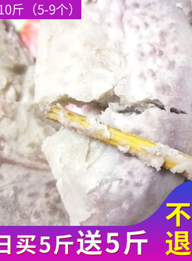 正宗广西特产荔浦芋头 新鲜槟榔香芋紫藤芋包邮荔浦发货带箱10斤