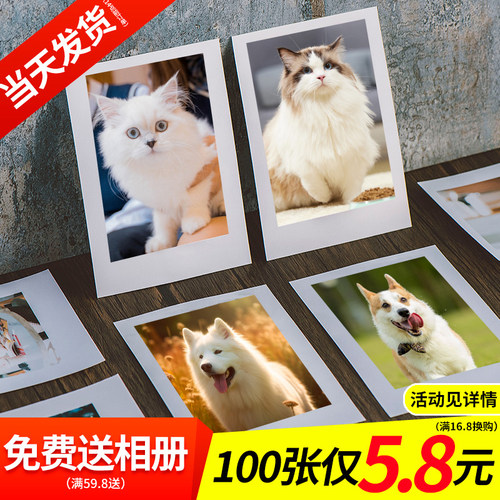 自印小卡明信片定制追星宠物