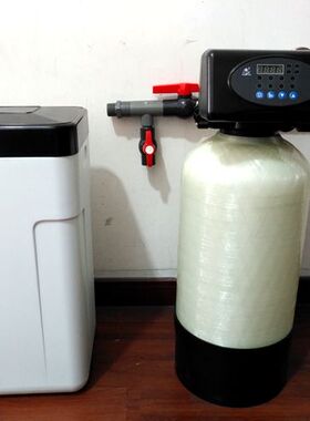 家用软水机0.3吨井水地下水过滤器工业锅炉软化除水垢设备热水