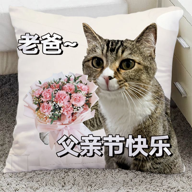 创意搞怪父亲节礼物抱枕沙发靠垫送爸爸礼物实用抱枕大号可拆洗