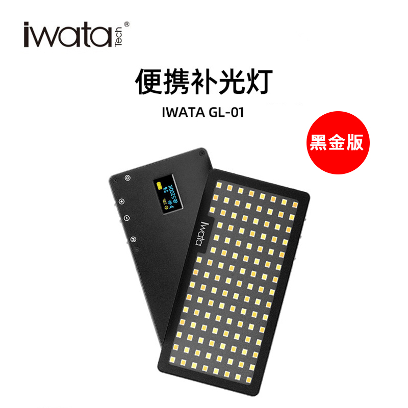 IWATA摄影补光灯led内置电池常亮