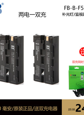 沣标F550补光灯电池 监视器  外拍灯 LED灯轻便续航套装 两电一充
