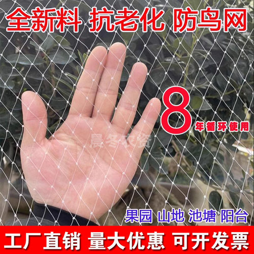尼龙防鸟网抗老化果园防鸟用网