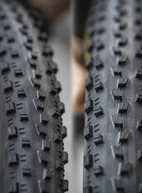 MAXXIS玛吉斯severe29*2.25山地车XC越野EXO防刺准真空雨胎外胎