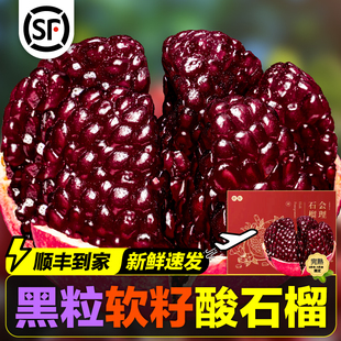 伍官邨精选黑籽酸石榴水果新鲜泡酒专用黑珍珠礼盒装 包邮 顺丰