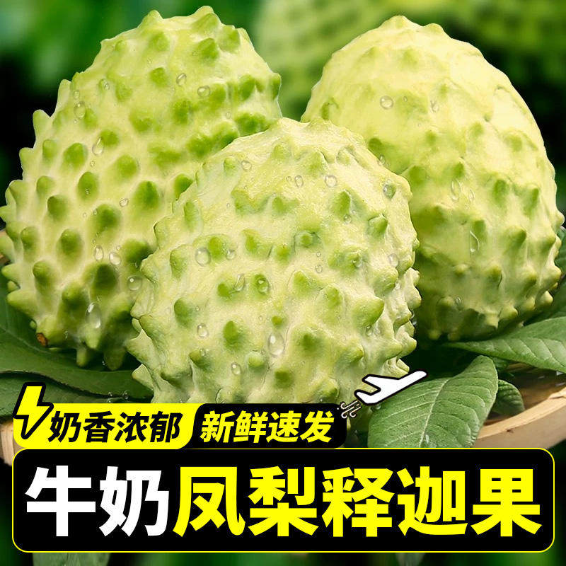 【官方推荐】正宗攀枝花米易释迦