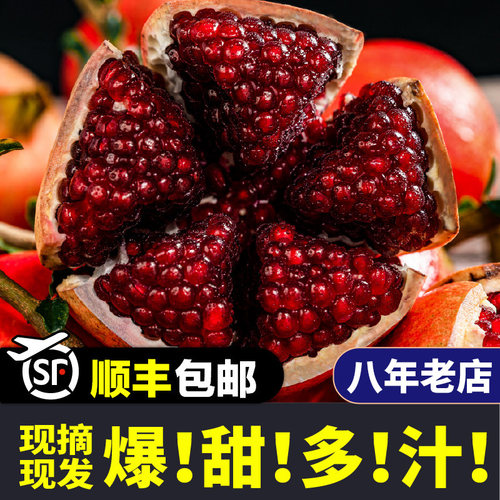 官方推荐店铺|【4S+级品质】