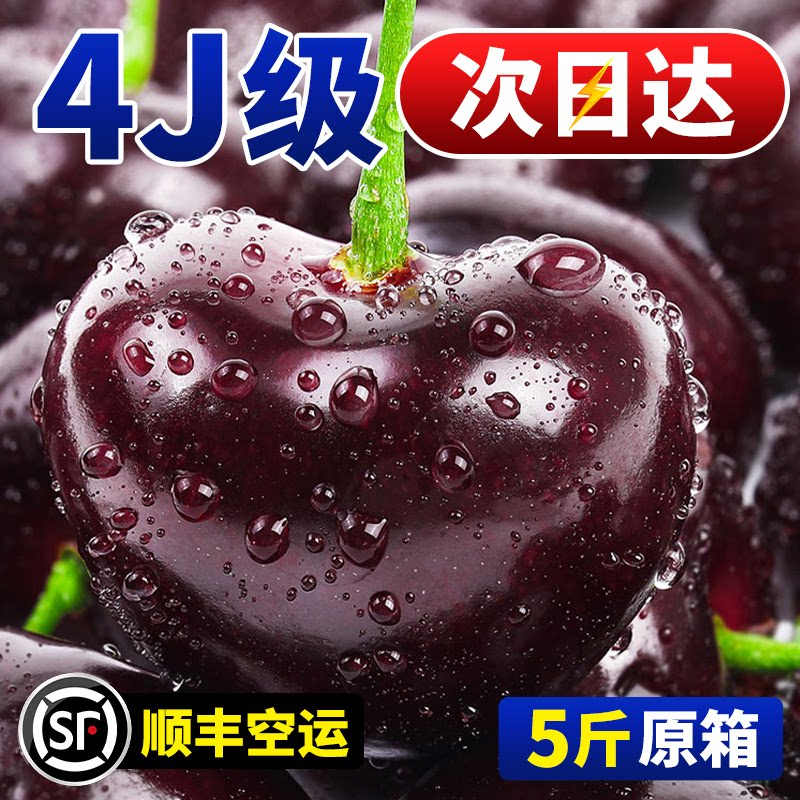高档新鲜应当季水果包顺丰礼盒当季孕妇水果大连美早大樱桃车厘子