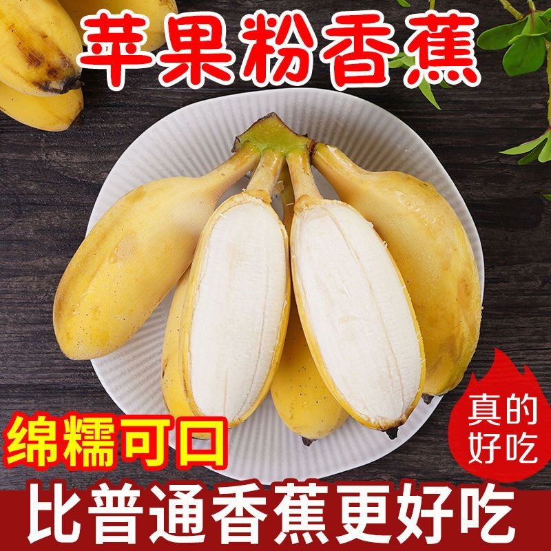 正宗广西苹果蕉香蕉新鲜软糯纯甜自然熟当季水果粉蕉小米芭蕉香焦