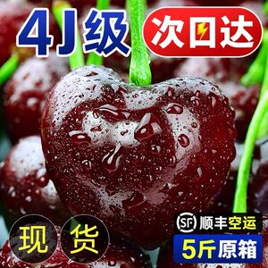 大连车厘子5斤新鲜水果当季整箱顺丰孕妇高端美早大樱桃礼盒包邮
