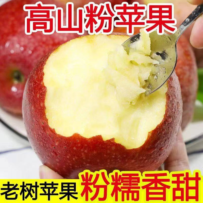 陕西秦冠苹果粉面沙甜新鲜水果现摘老人宝宝辅食刮泥吃非花牛苹果