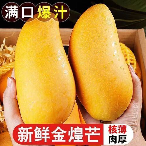 正宗海南金煌芒特大水仙芒果新鲜三亚金煌芒果新鲜特大果香甜