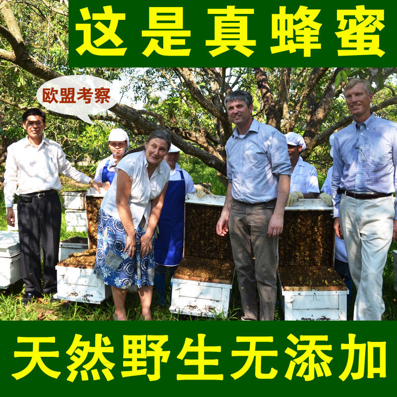 2斤泰国进口蜂蜜纯正天然野生农家自产龙眼土峰蜜honey无糖无添加