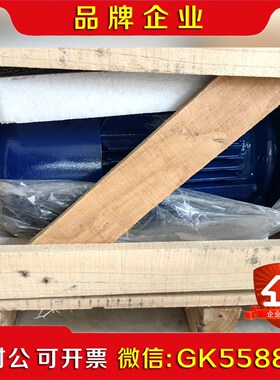 江特电机YEJ132S-6-G-B08 55N.m 3kW 议价