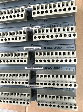 SICAMA8000 DI-8110 DO-821 议价