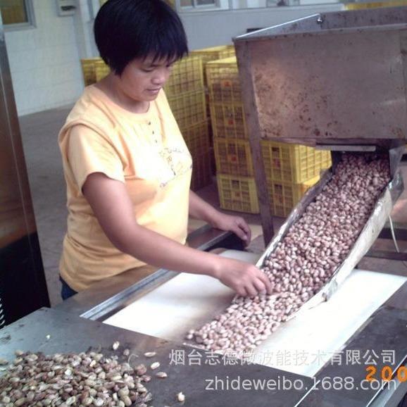 隧道式微波五谷杂粮熟化设备亚麻籽低温灭活设备微波粗粮熟化机