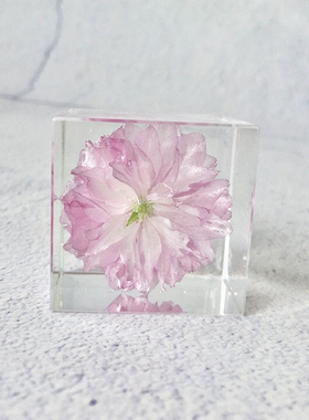 樱花标本永生花植物摆件创意文艺520礼物送七夕纪念品