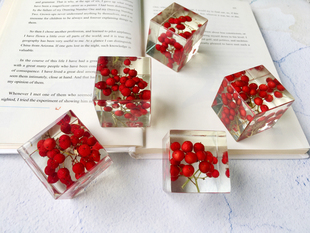 【南天竹】滴胶摆件成品创意礼物 4x4x4cm