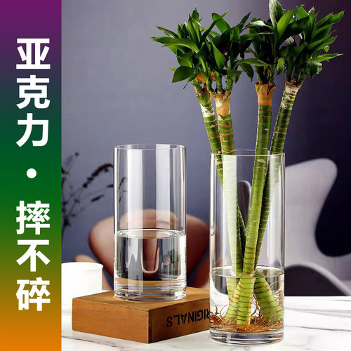 亚克力花瓶水培富贵竹龙竹文昌竹