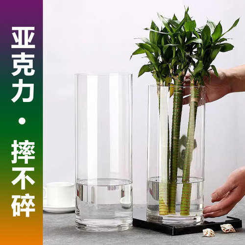 亚克力花瓶水培富贵竹龙竹文昌竹