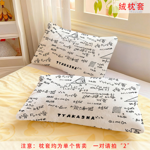学霸数学公式水晶绒枕套学生简约公式冬季保暖男生寝室学生枕头套