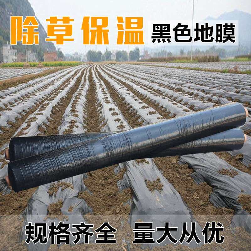 Film Plastic Film Weed Agriculture Impermeable membrane Double color Film Film Film heat preservation Moisturein the Agricultural Machinery/Farm tools/Plastic sheeting , Plastic sheeting/Tarpaulin/Network cover/Greenhouse , Agricultural film  category - from Buy2taobao.com to provide professional Taobao agent buy service