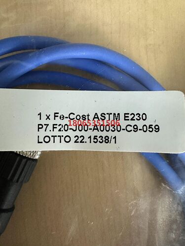 ELSI 热电偶 P7.F20-J00-A0030-C9-0