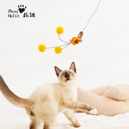 爪迷虫瘦果逗猫棒人宠互动玩具