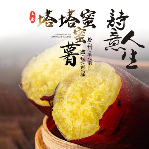 塔塔蜜薯云南高原黄心番薯山芋
