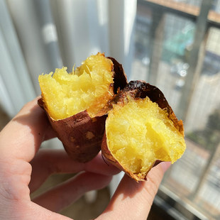 云南塔塔蜜薯同源诗意人生蜜薯农家原生态种植地瓜甜糯番薯烤红薯