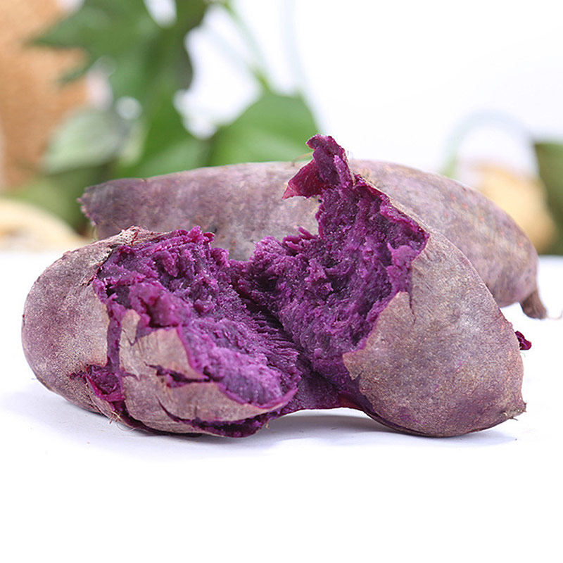 诗意人生紫罗兰农家自种越南紫薯新鲜板栗红薯番薯地瓜香蜜薯山芋