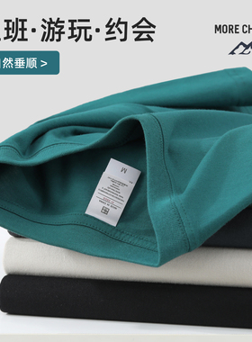 JIEYI 盐系100纯棉圆领T恤衫复古百搭体恤男夏季休闲纯色短袖上衣