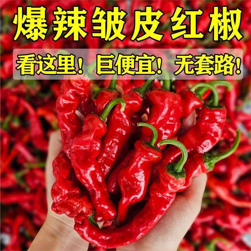 新鲜红辣椒皱皮红辣椒薄皮红辣椒辣椒酱剁椒酱农家自种现摘现发