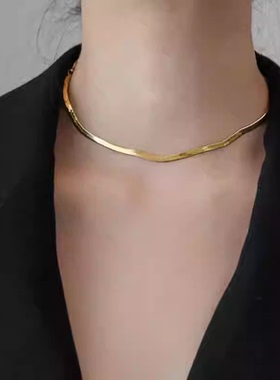 极简轻奢小众金色颈链蛇骨链